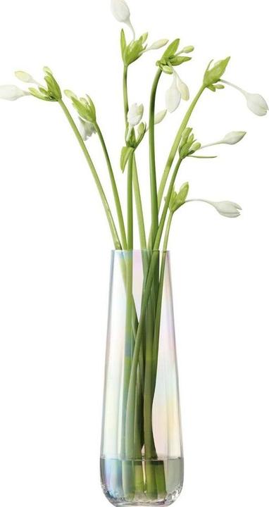 Image du produit LSA Pearl (1 x, 12 x 12 x 36 cm)