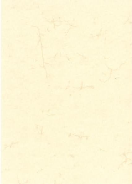 Produktbild Rnk Verlag Motivpapier Elefantenhaut chamois DIN A3 190 g/qm 10 Blatt (190 g/m², 10 x, A3)
