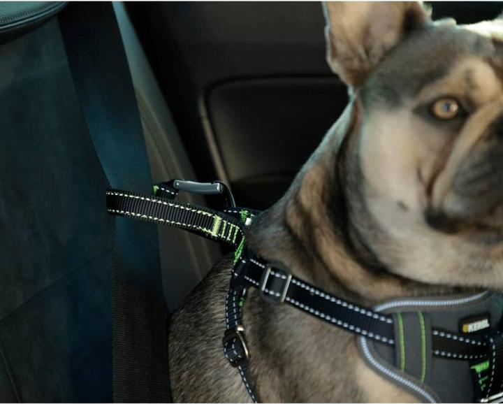 Produktbild Kerbl Autosicherheitsgeschirr (Hund, Sicherheitsverschluss)