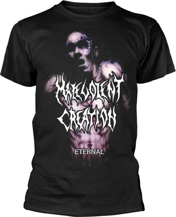Image du produit Universal Textiles Unisexe Adult Eternal T-shirt (L)