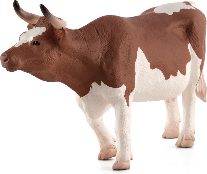 Actual product image Mojo Simmental cow