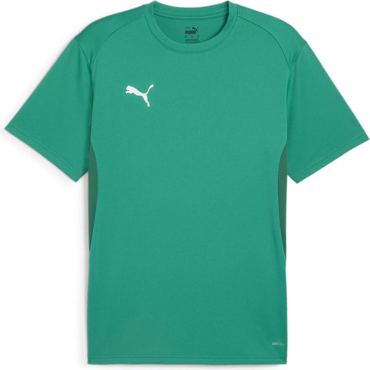 Puma teamGOAL Jersey