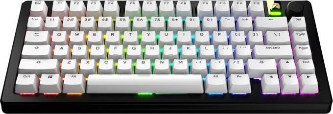 Actual product image Glorious GPBT Basics Keycaps, ANSI Layout (US), PBT, Dye-Sub - Classic White