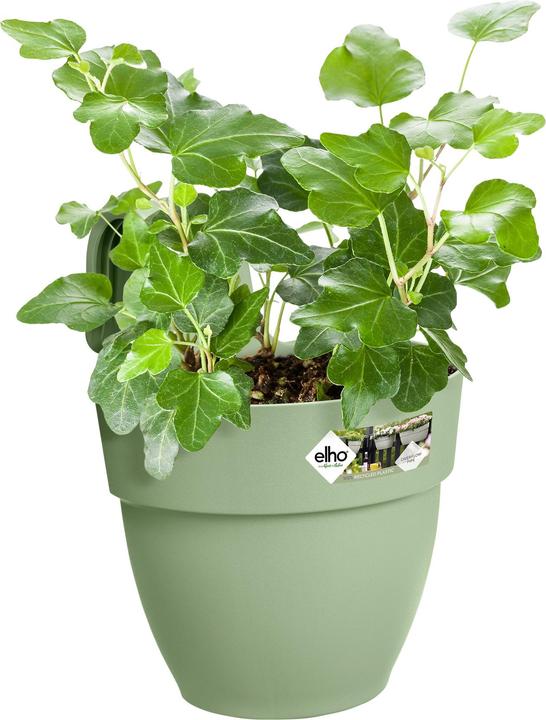 Produktbild Elho Vibia Campana Easy Hanger S (24 cm)