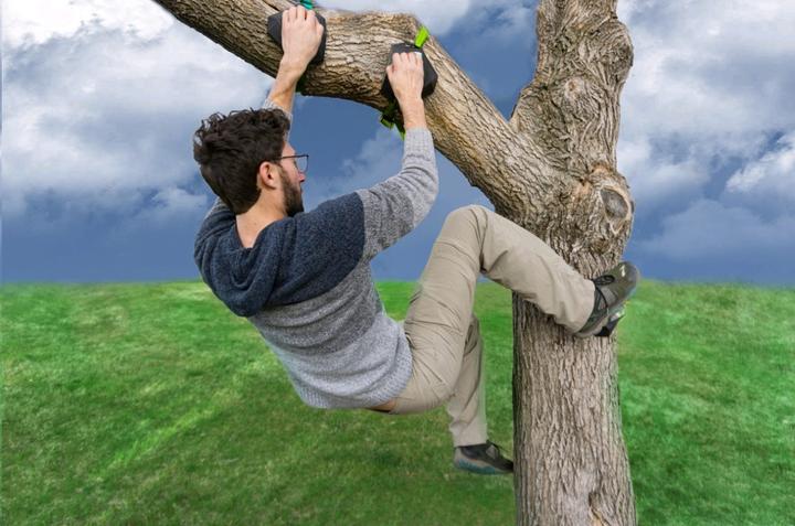 Produktbild Schildkröt Ninja Treeclimbers (2.20 m)