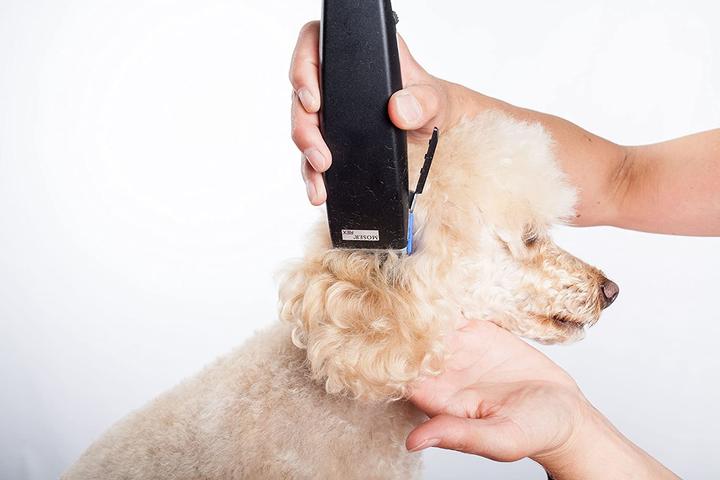 Image du produit Moser Tondeuse à cheveux pour chiens (Chien, Chat)