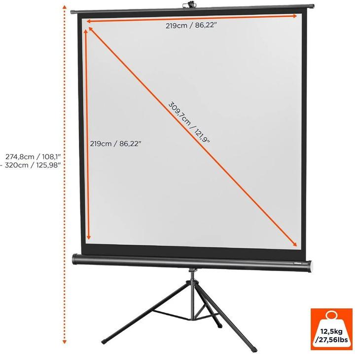 Actual product image Celexon Eco tripod, screen, 1:1 (86.22", 1:1)
