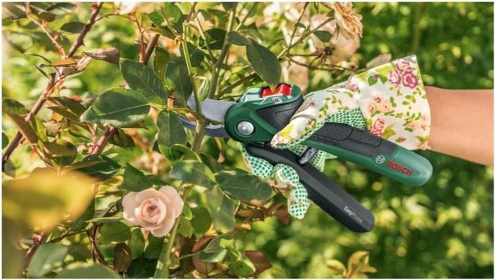Produktbild Bosch Home & Garden EasyPrune