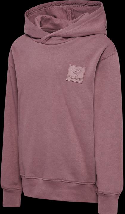 Image du produit hummel hmlCLEAN HOODIE (116)