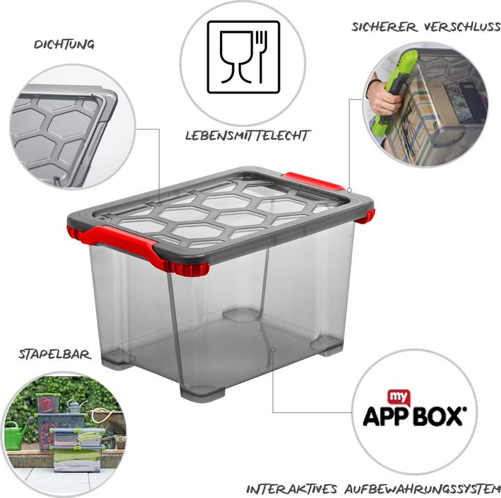 Actual product image Rotho Evo Safe Keeping (39.5 x 28.5 x 23 cm, 15 l)