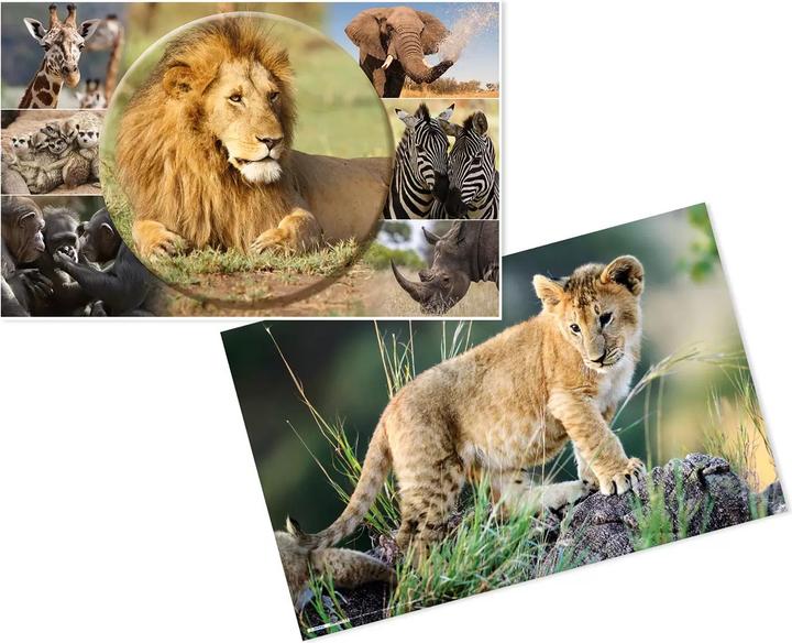 Actual product image HERMA Desk Pad Africa Animals 55x35 3 pieces (55 x 35 cm)