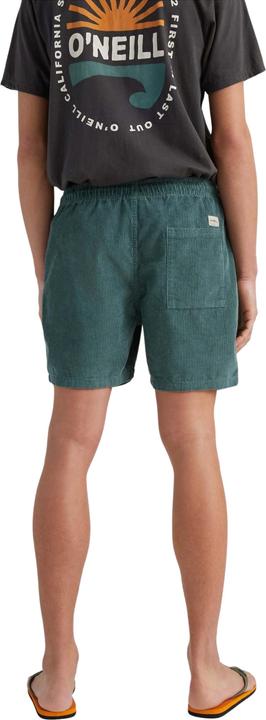 Immagine prodotto O'Neill shorts camorro cord (XL)