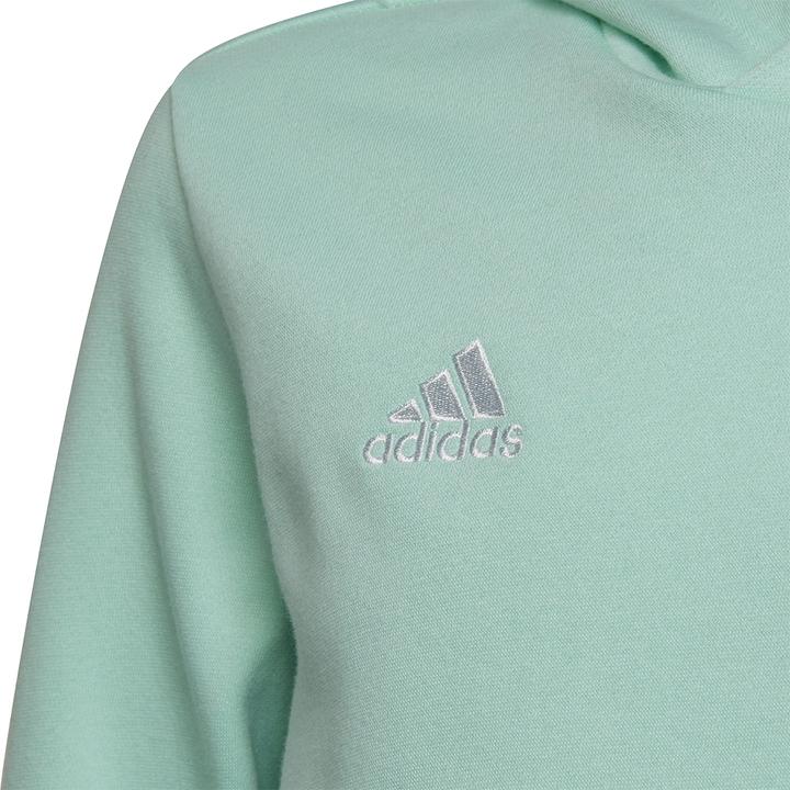 Actual product image adidas Entrada 22 Sweat Hoodie (116)
