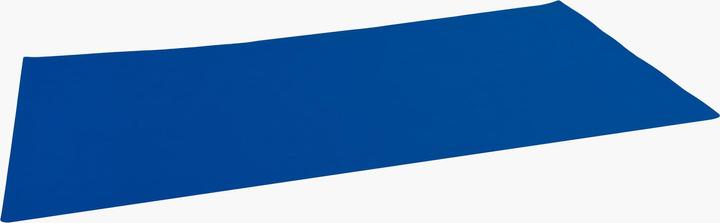 Actual product image Exacompta BEEBLUE - Desk pad (40 x 80 cm)