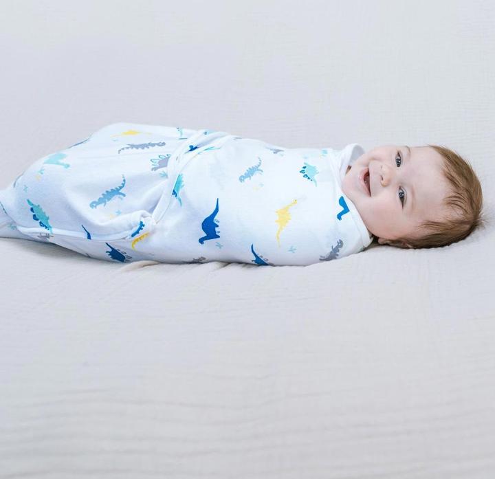 Actual product image aden + anais Easy swaddle