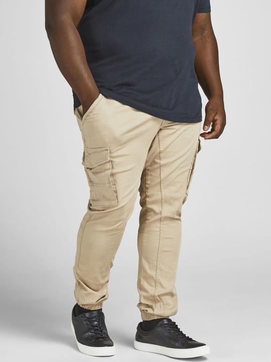 Image du produit Jack & Jones Paul Flake AKM 542 Pantalon Cargo Plus Size (42)