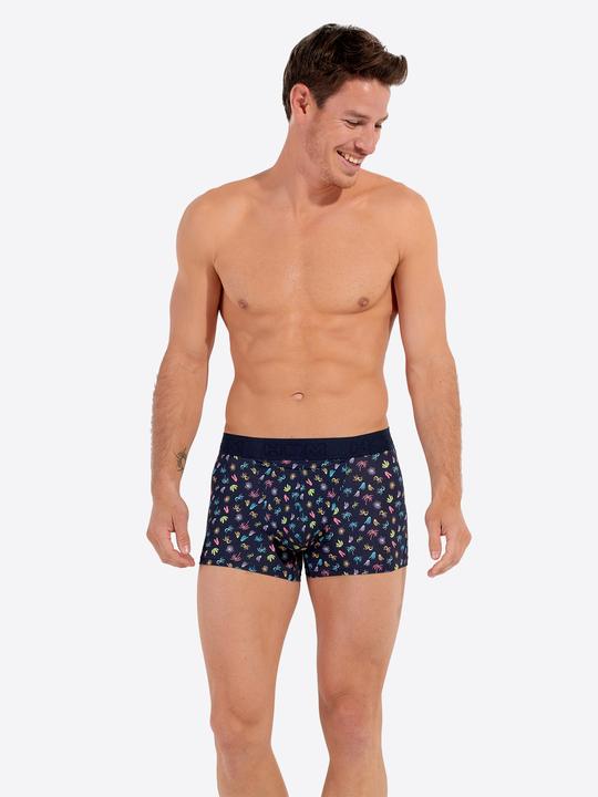 Immagine prodotto HOM Retro Boxer California HO1 (L, Confezione singola)