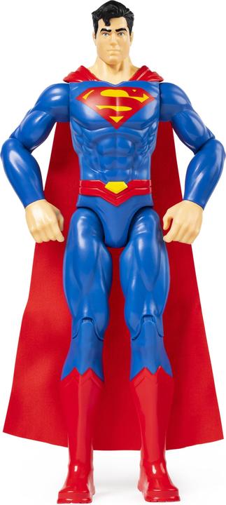Immagine prodotto Spin Master DC Comics DC 30cm Action Figure