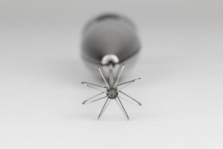 Image du produit Caso Fomini Inox 1611