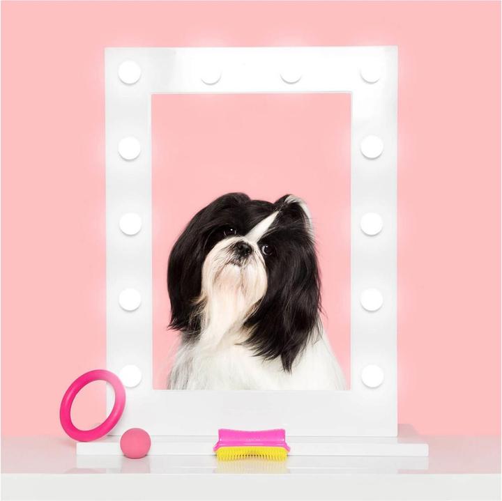 Produktbild Tangle Teezer Detangling Bürste (Hund)