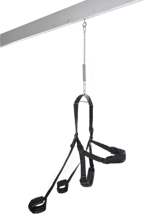 Actual product image Pipedream Fantasy Swing