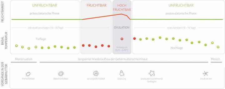Productafbeelding Daysy Fietscomputer 2.0