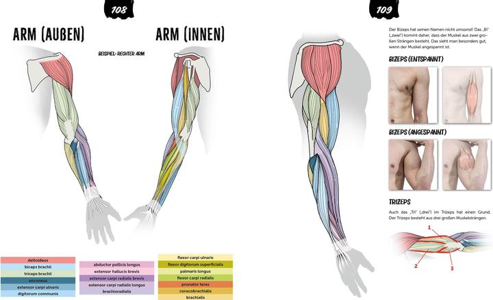 Image du produit Anatomie zeichnen like a Sir (Allemand, Marcel Kühn, 2024)