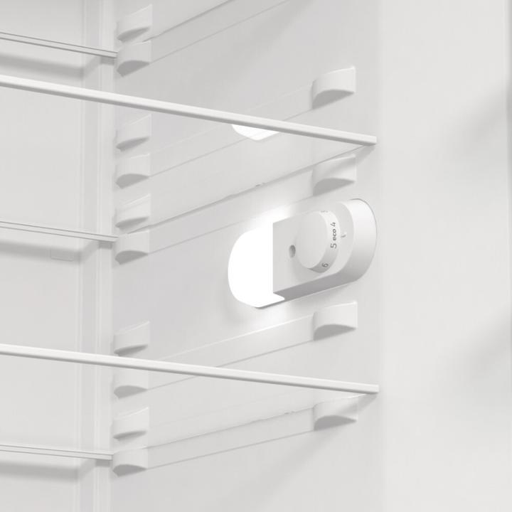 Image du produit Gorenje R619EES5 (398 l)