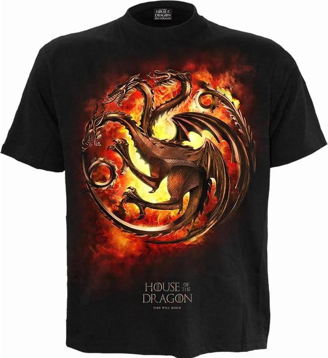 Spiral Dragon Flames TShirt
