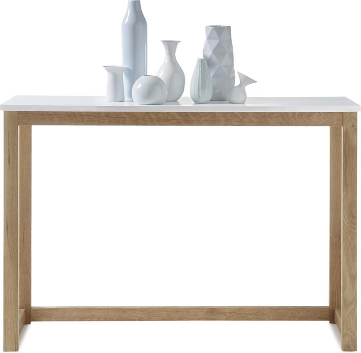 Actual product image Robas Lund Riverside (110 x 32 x 75 cm)