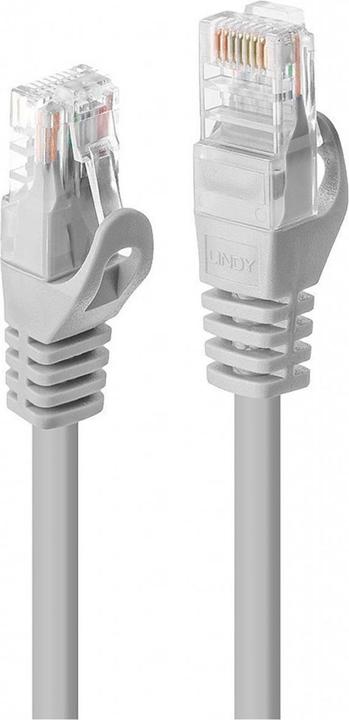 Actual product image Lindy Network cable (UTP, CAT5e, 1 m)