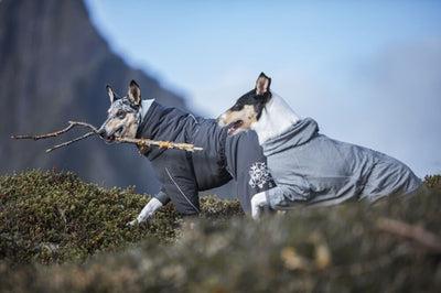 Image du produit Hurtta Extreme (50, Manteau pour chien)