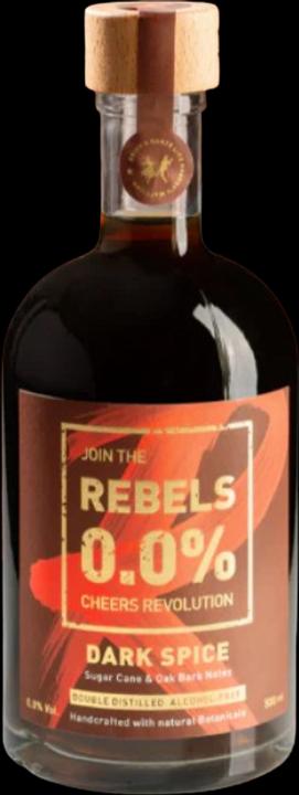 REBELS 0.0% Dark Spice - senza alcool (1 x 50 cl)