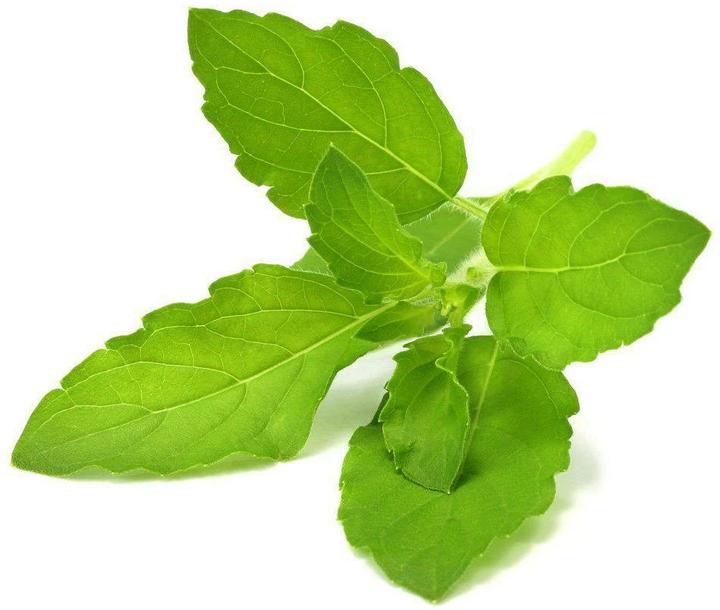 Image du produit Click and Grow Le basilic sacré (Graines d'herbes aromatiques)