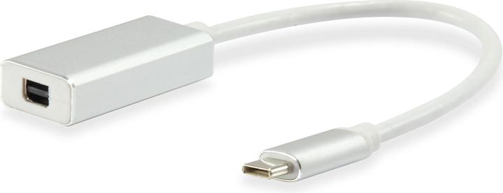 equip Mini DisplayPort — USB Typ C (USB-C, 15 cm)