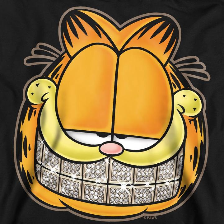 Image du produit Garfield - Sweat NICE GRILL - Adulte (S)