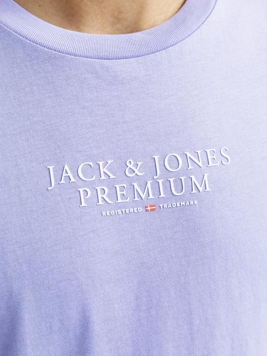 Actual product image Jack & Jones Jprbluarchie Ss Tee Crew Neck Noos (S)