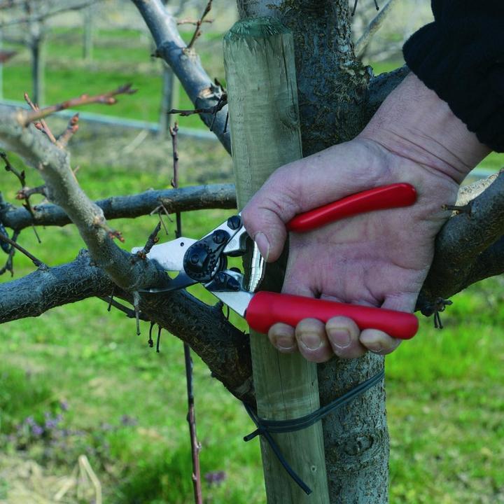 Produktbild Felco Garten-, Reb- und Baumschere