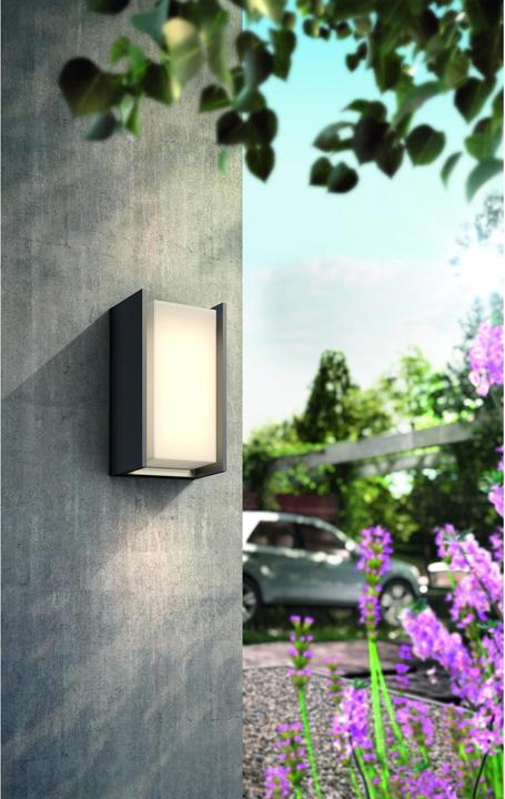 Image du produit Philips Hue Turaco Basis (806 lm, E27)