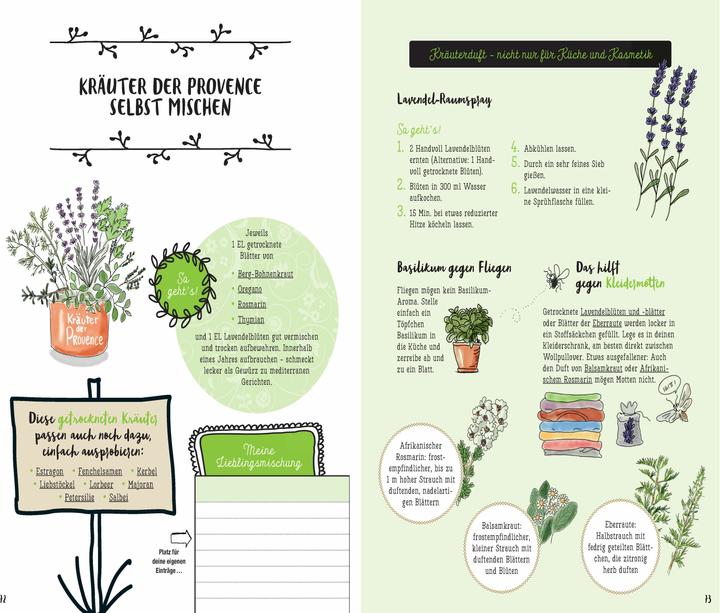 Produktbild Mein Kräuter-Jahr - Das informative Bullet Journal - Monat für Monat (Deutsch, Diana Meier-Soriat, 2025)