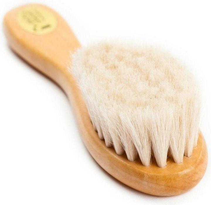 Grünspecht Brosse en poils de chèvre