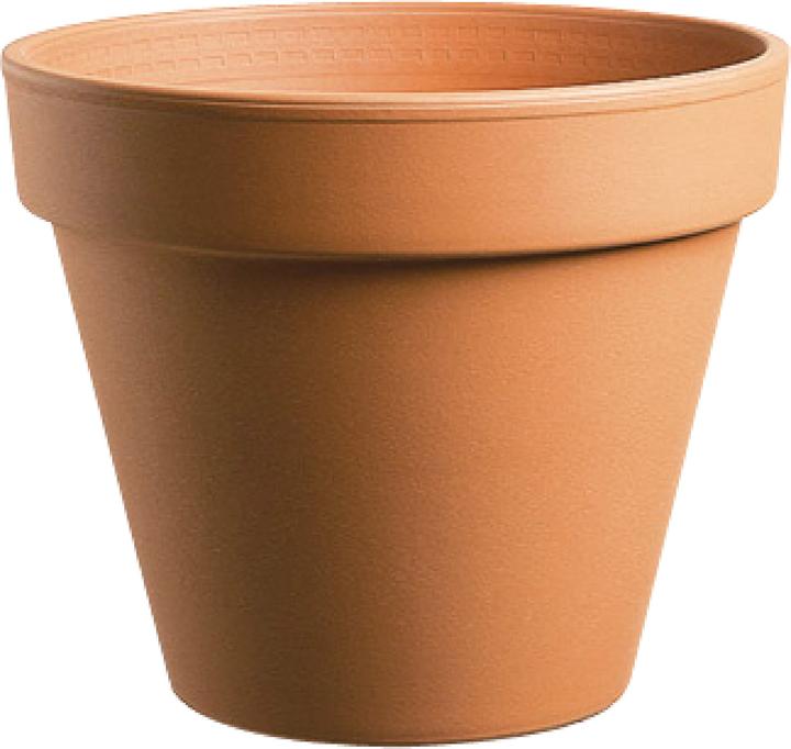 Immagine prodotto Deroma Standard (4.80 cm)