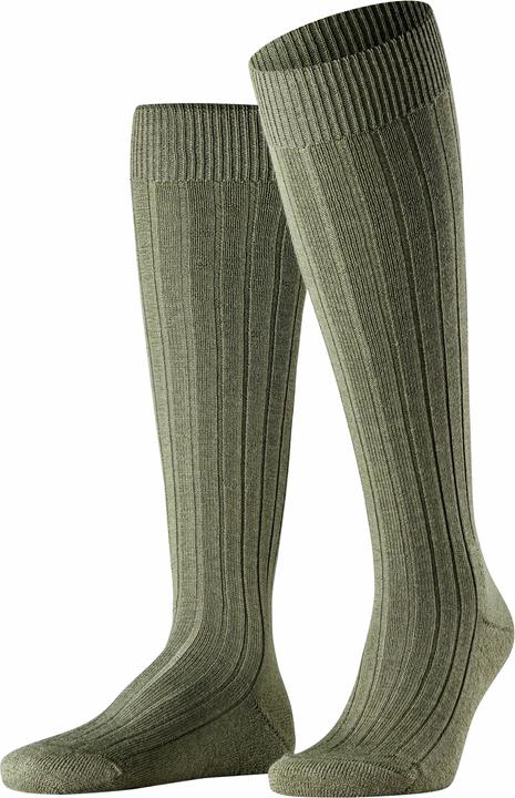 Falke Teppich im Schuh KH