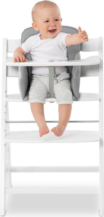 Actual product image Hauck Alpha cosy Comfort