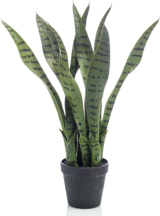 Produktbild Emerald Kunstpflanze (55 cm)