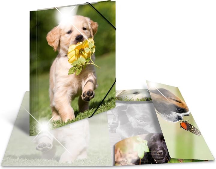 Actual product image HERMA A3 motif folder (A4, 1 x)