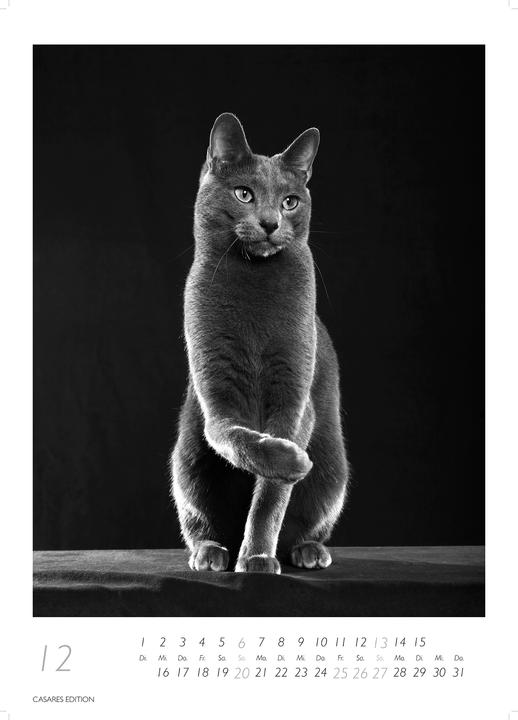 Actual product image Cats 2026 S 29x21cm (29 x 21 cm, German)