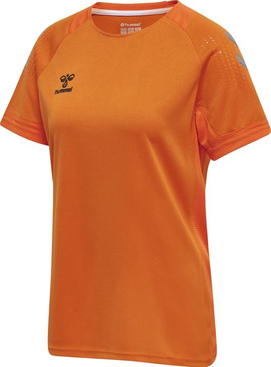 Tigre orange