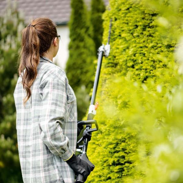 Actual product image Scheppach MTC42-5P (Gasoline hedge trimmer)