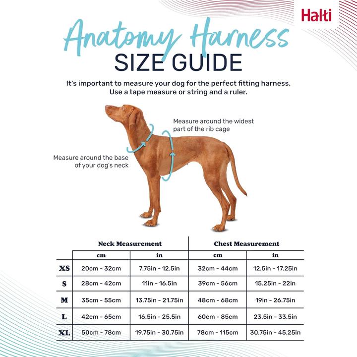 Actual product image Company of Animals Halti Anatomy XL dog harness (XL, Dog, General)